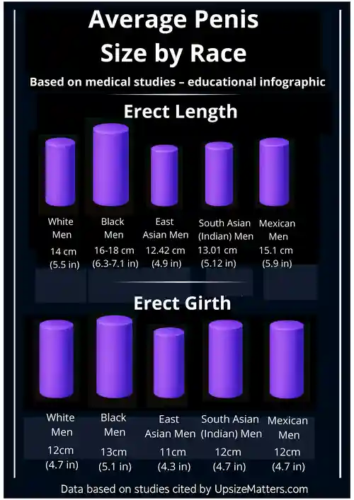 infographic showing average penis size by race